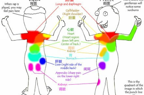 内脏疼痛图
