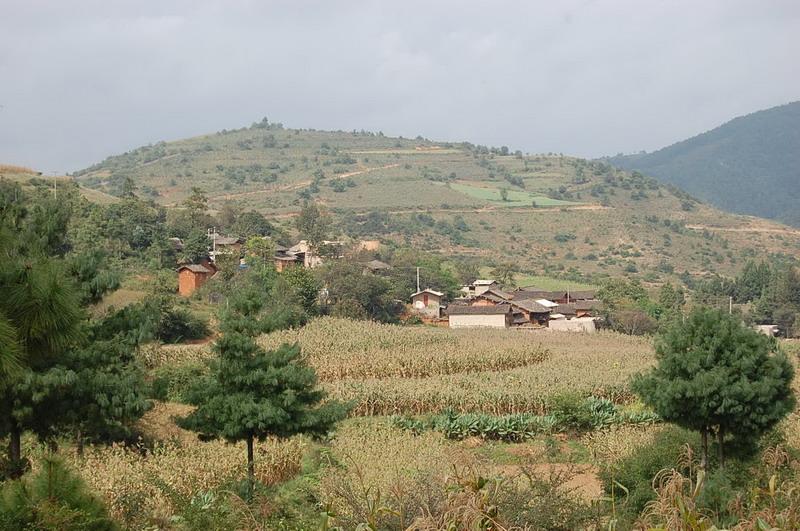  p>大风丫口村隶属于云南省昆明市富民县罗免彝族苗族乡麻地村委会