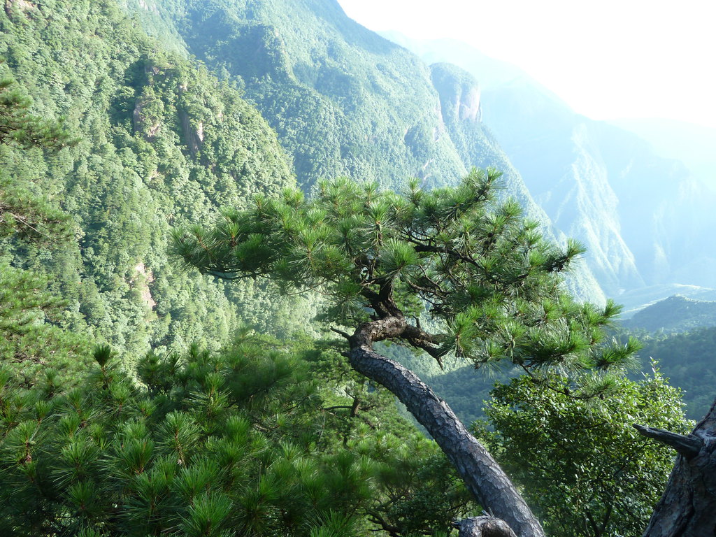 lg8t">凤阳山,位于浙江 a target="_blank" href="/item/龙泉/40463"