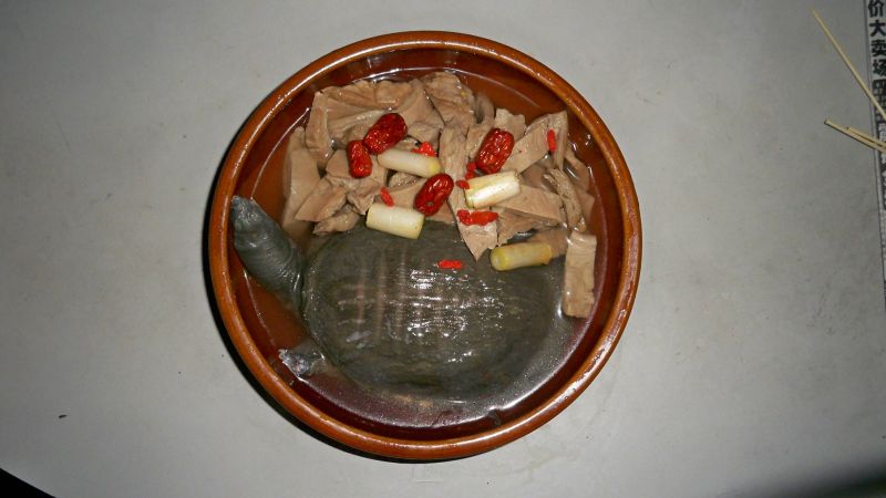 素肉炖甲鱼