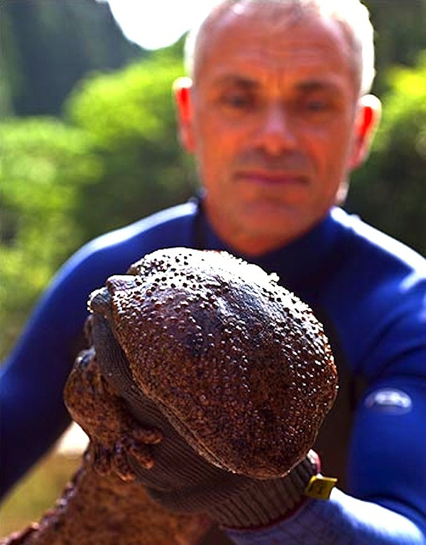  p data-id="gnwfdqu9ao">《河中巨怪》是美国 a target="_blank"