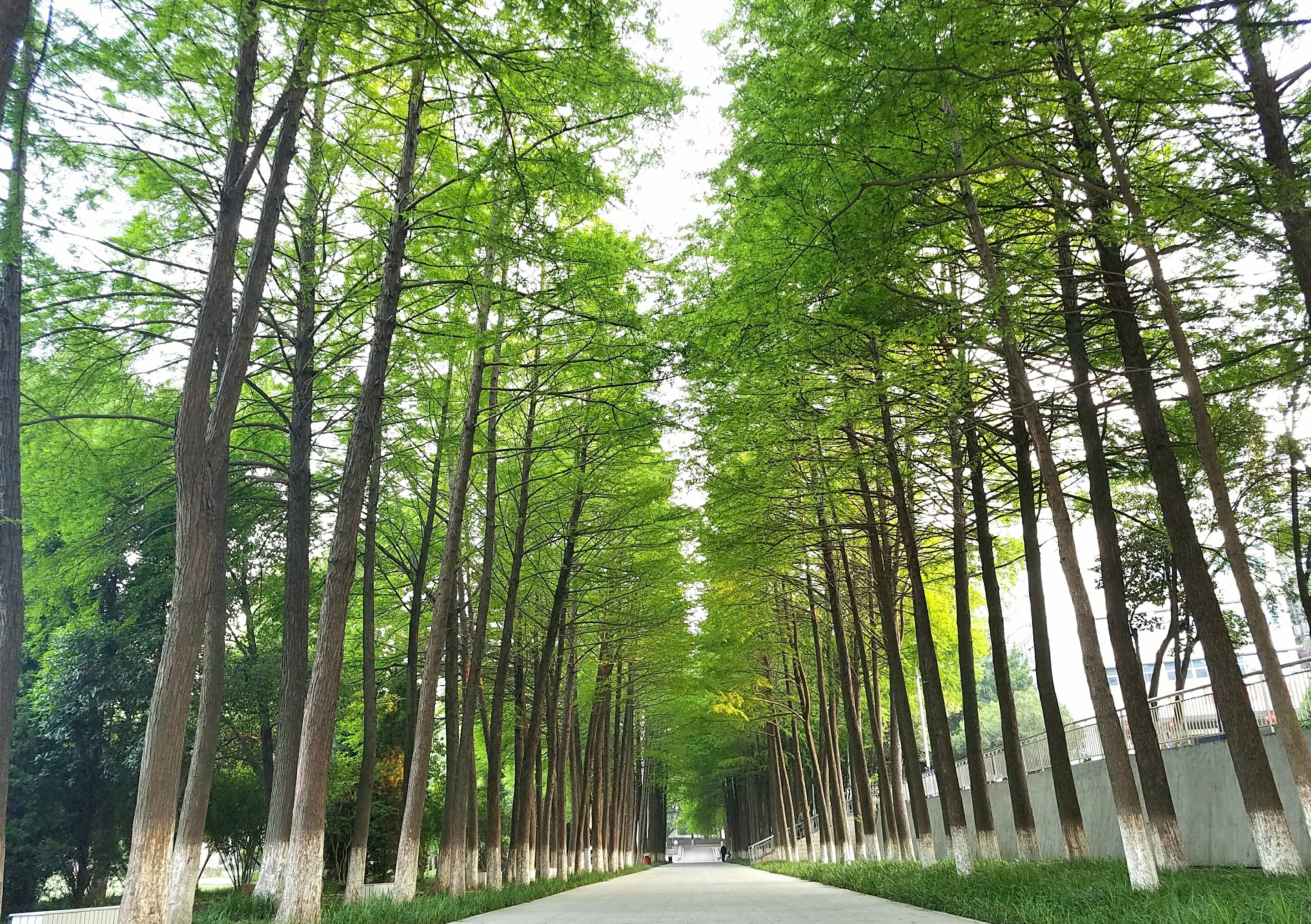 信阳师范学院