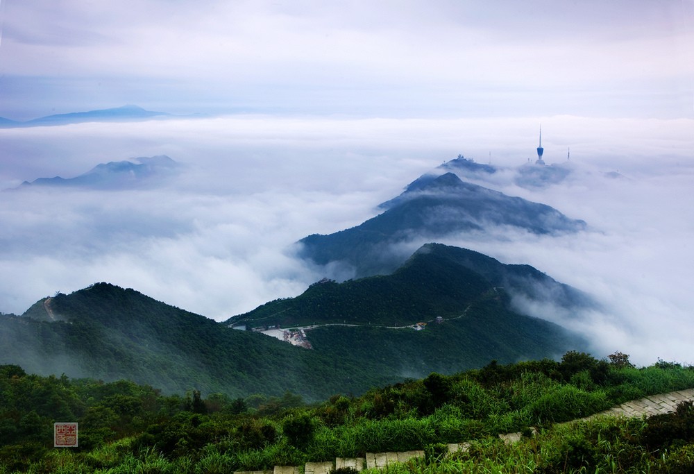 梧桐山 全网资源