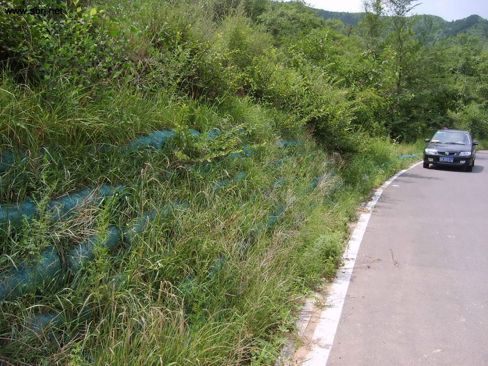 高速路边坡绿化