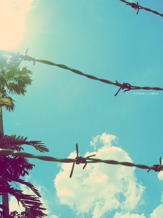 津轻海峡冬景色 百度百科