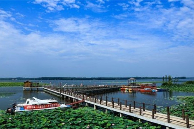 宝应湖农场