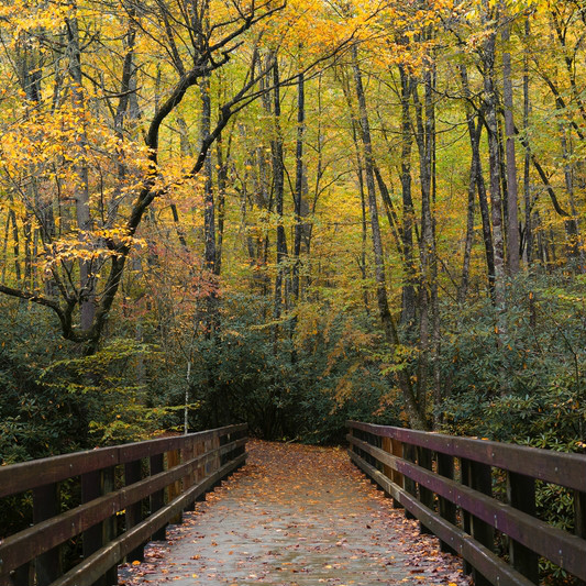 appalachian national scenic trail