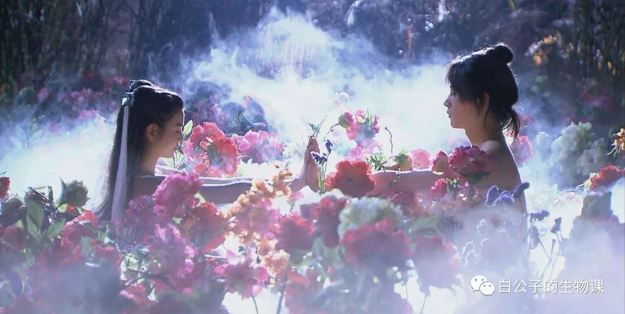 金庸才没有骗你，世上真的是有情花毒，不小心就会注孤生!_百科TA说