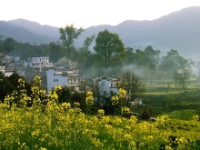 风景图