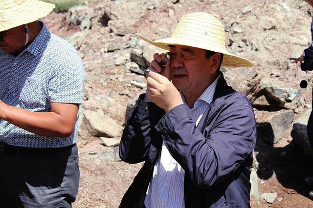 data-lemmaid="13302">岐山 /a>人,中共党员,煤炭资源与地质勘查专家