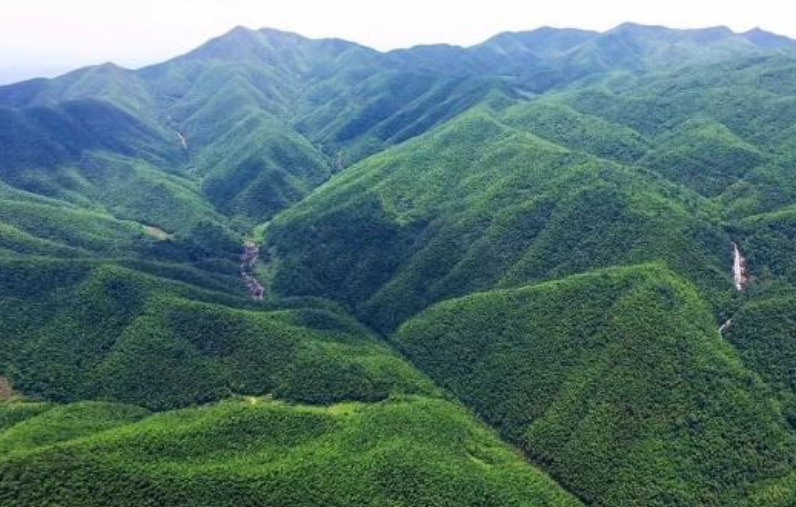 江西罗霄山大峡谷国家森林公园