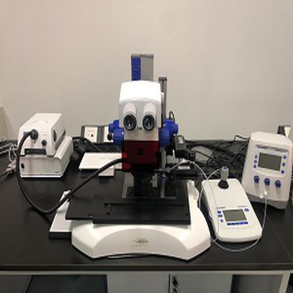 昆虫胚胎显微注射系统