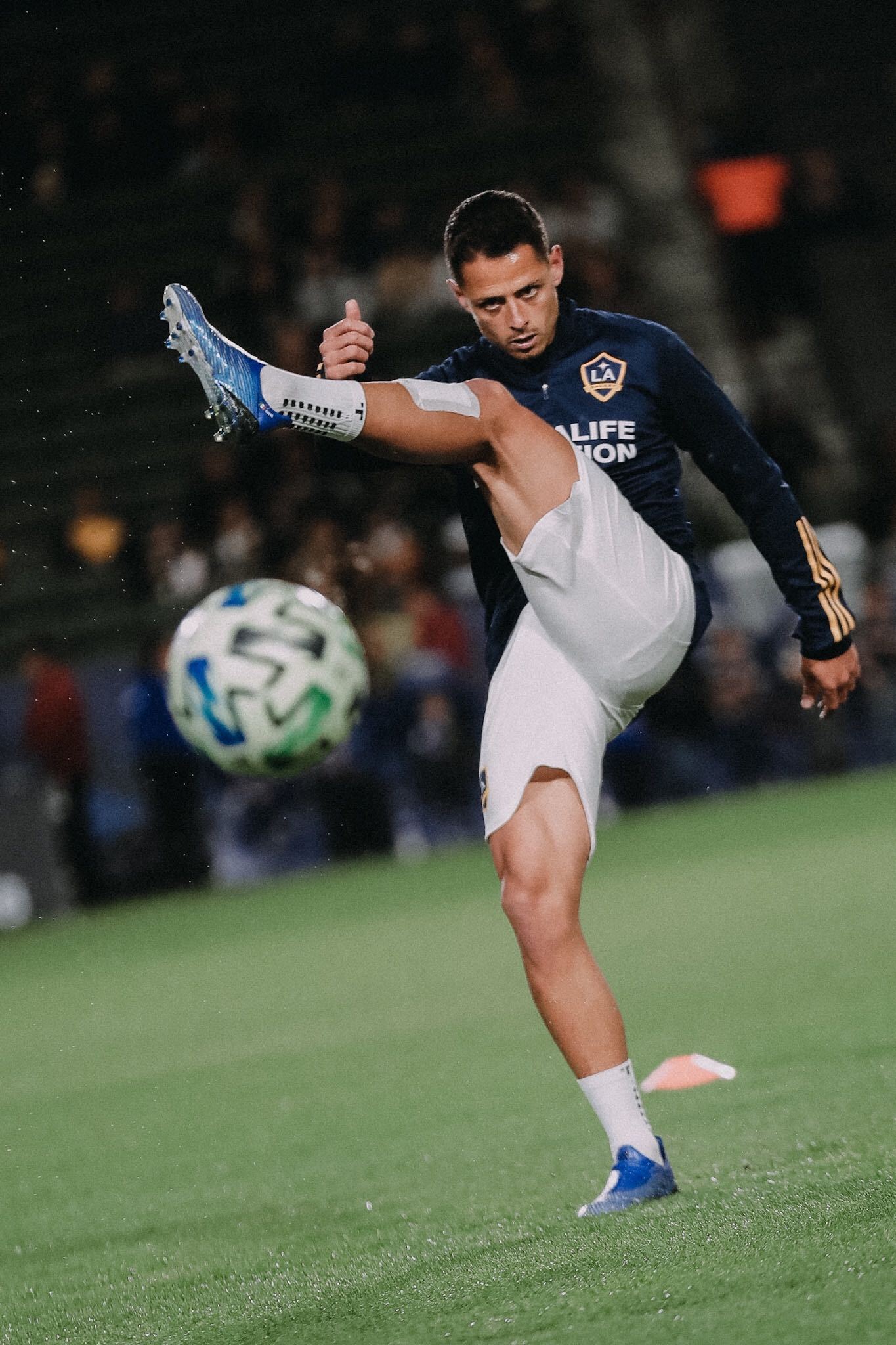 javier hernandez balcazar