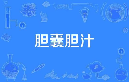 胆囊胆汁_百度百科
