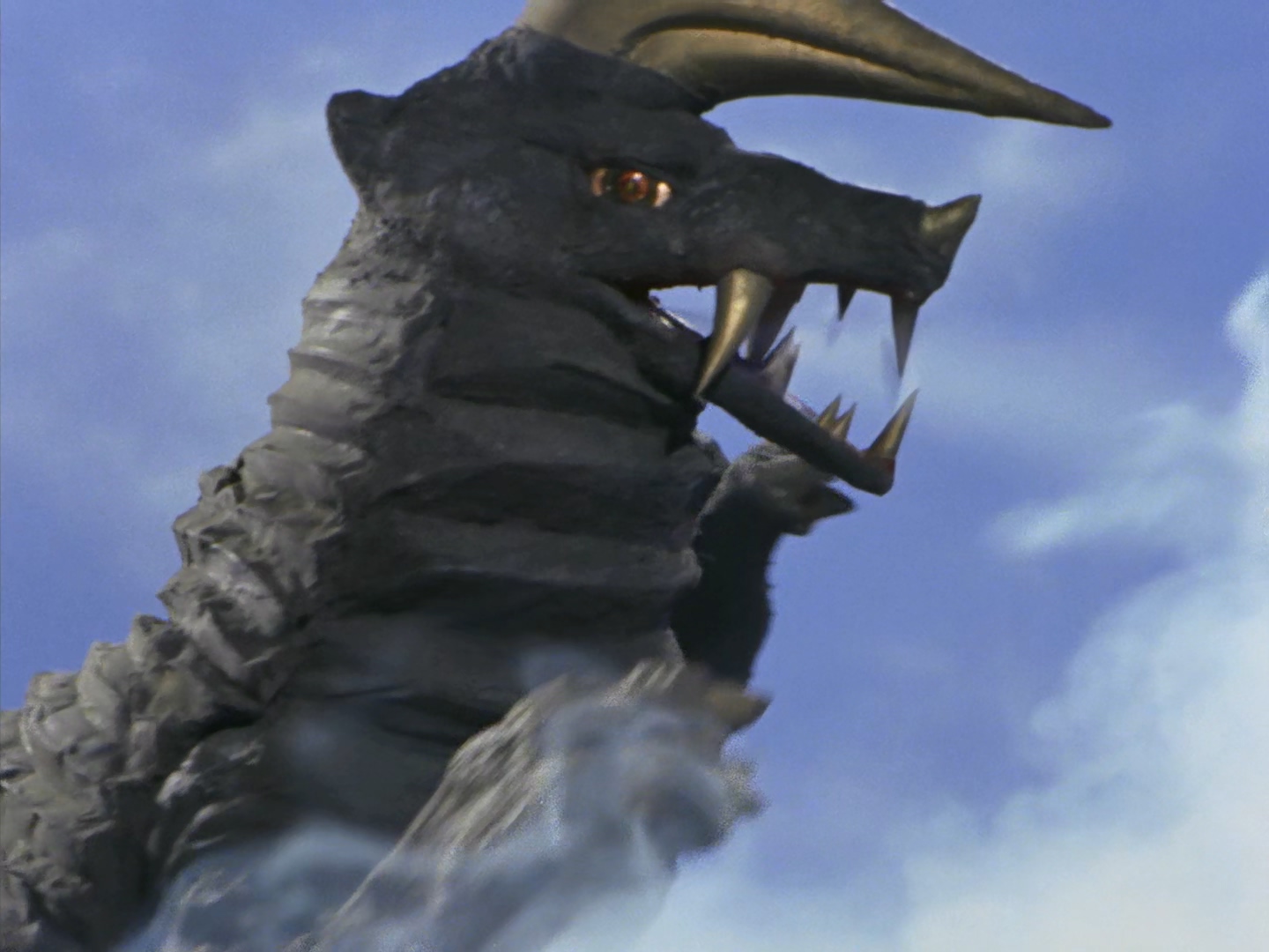 布莱克王第一代