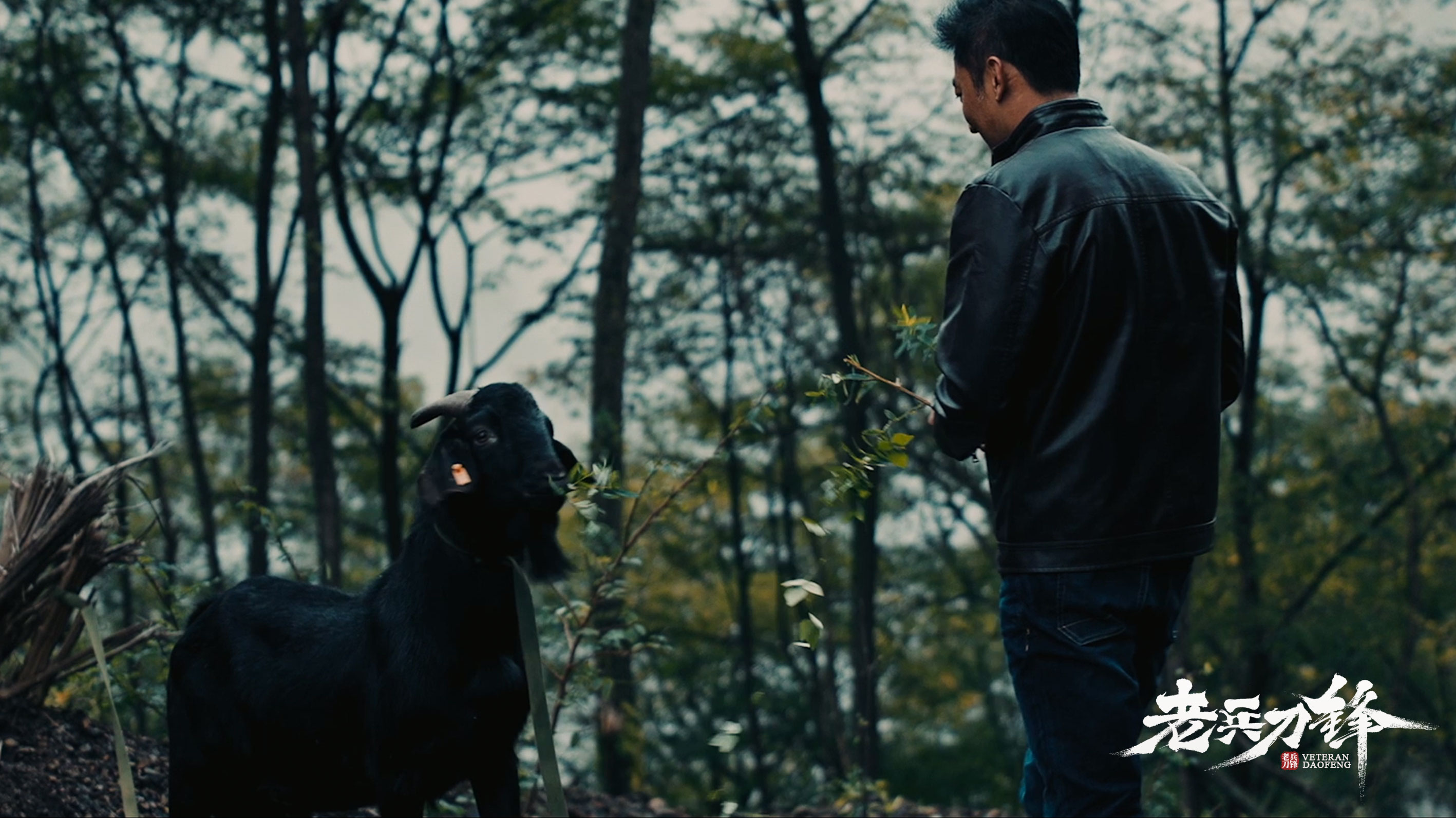  p>《老兵刀锋》是四川狼族影业有限公司出品,陈晓玲编剧的电影. /p>