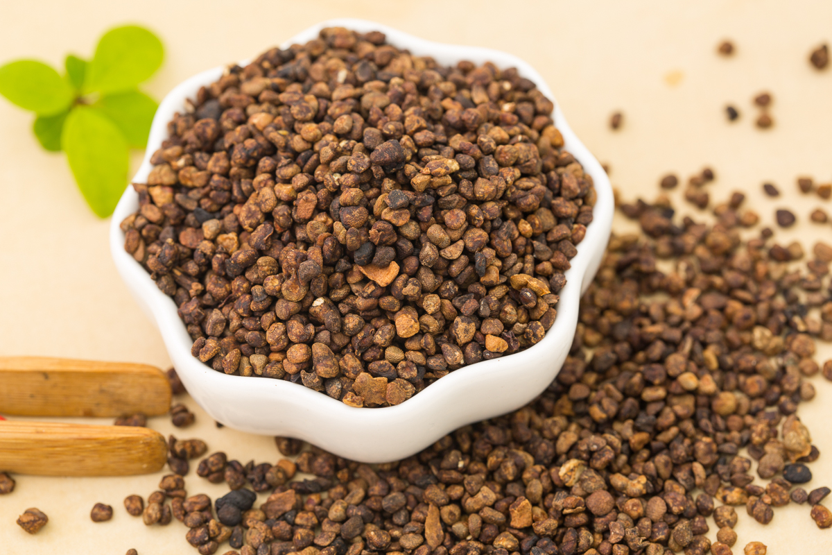 别名:益智仁,益智子.