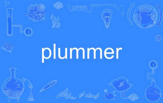 plummer_百度百科