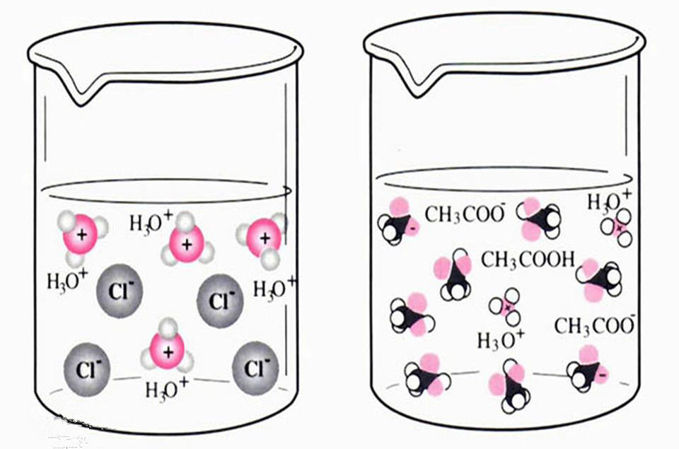 阿伦尼乌斯电离理论