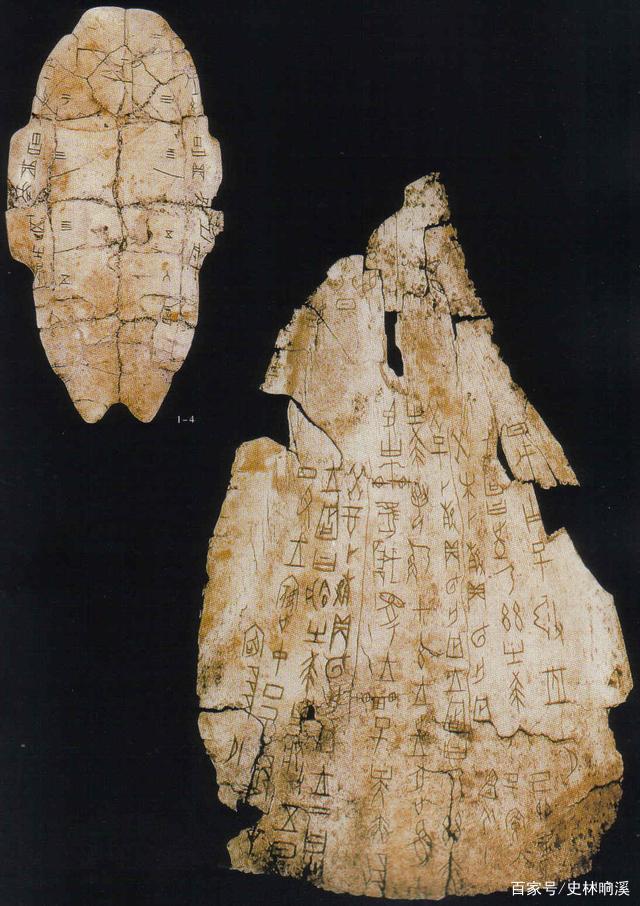 甲骨文上的辉煌 九 那些遗失海外的殷商甲骨 百科ta说
