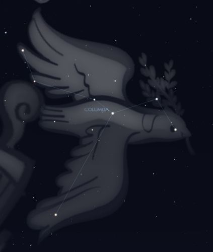  p>位于天兔座以南,传说把橄榄枝衔回诺亚方舟 sup data-ctrid="2b90