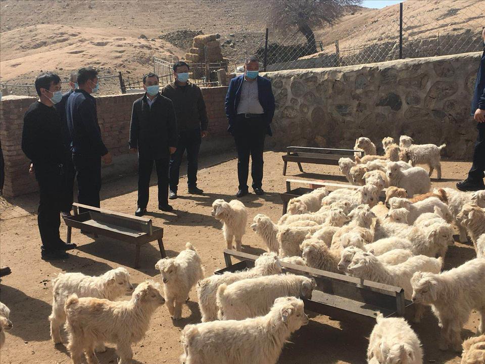  p>呼勒斯太苏木,隶属内蒙古自治区巴彦淖尔市乌拉特中旗,地处 a