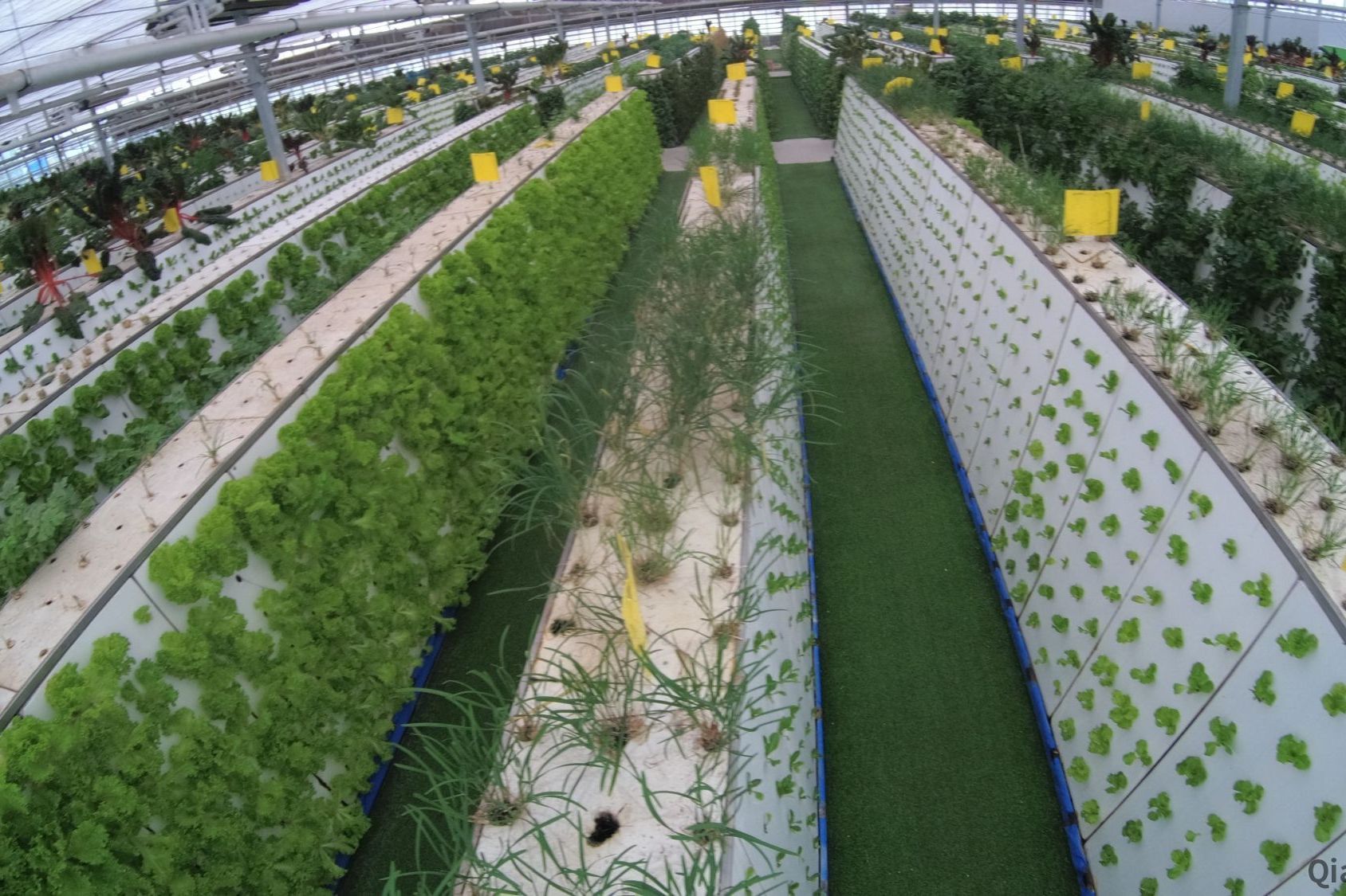 惠丽农场智慧农业园区