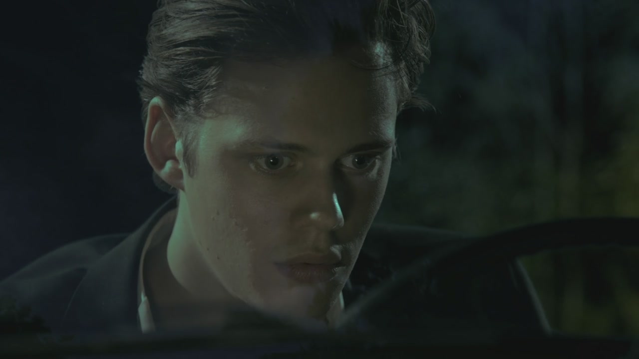 bill istvan günther skarsg  rd