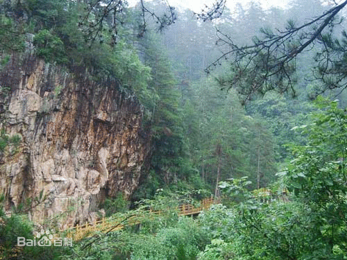 陕西长青国家级自然保护区
