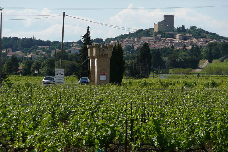  p>教皇新堡产区(chateauneuf du pape)位于avignon市北部几英里处,是