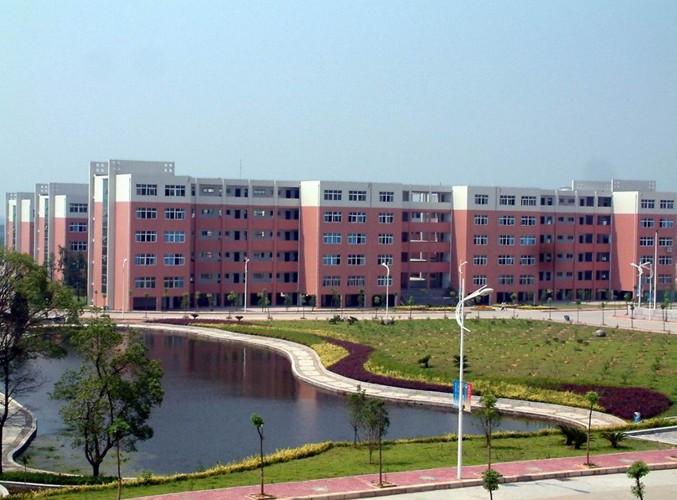高安教育集团