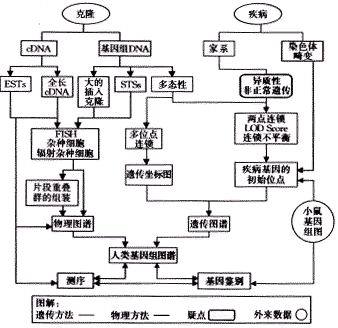 转录图