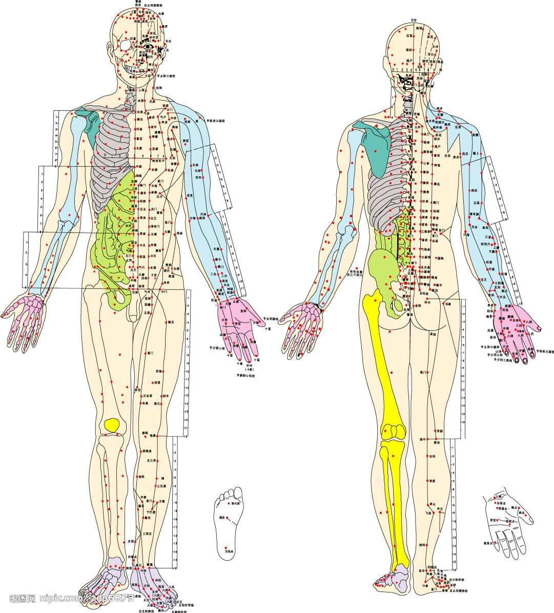  p>中医上说,经络是运行气血,联系 a target="_blank" href="/item