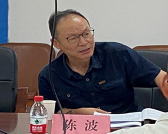 陈波（四川大学哲学系教授）_百度百科