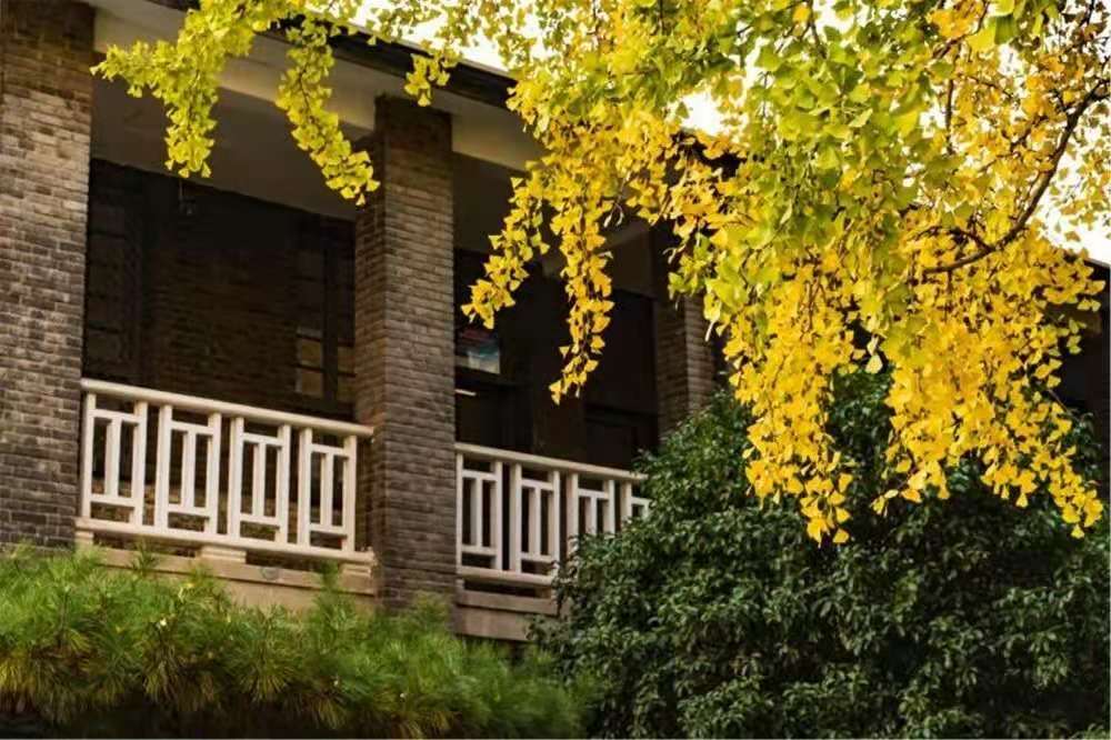  p>如皋初级中学位于 a target="_blank" href="/item/江苏/154268"