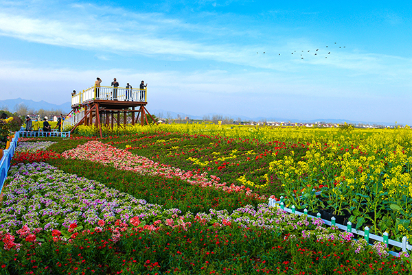 桃花岛风景区