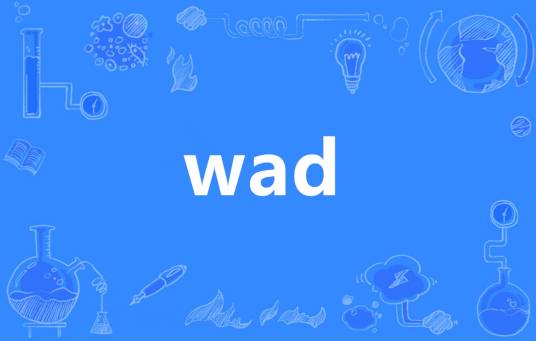 WAD（英语单词）_百度百科