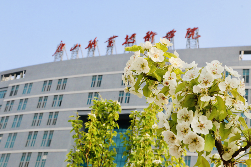  p>唐山职业技术学院(tangshan voccational & technical college