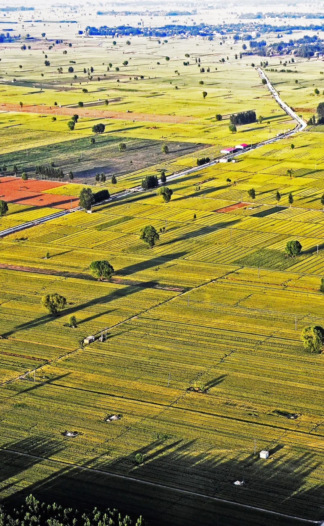  p>华北平原( i>north china plain;hua-pei ping-yuan;huabei ping