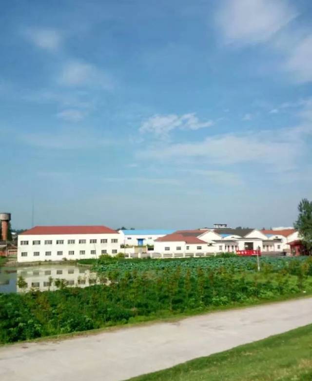  p data-id="go04suc558">涴市镇,隶属于湖北省荆州市松滋市,地处松滋