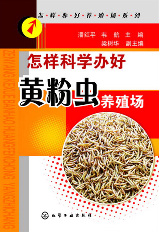 怎样办好养殖场系列--怎样科学办好黄粉虫养殖场(办好黄粉虫养殖场的