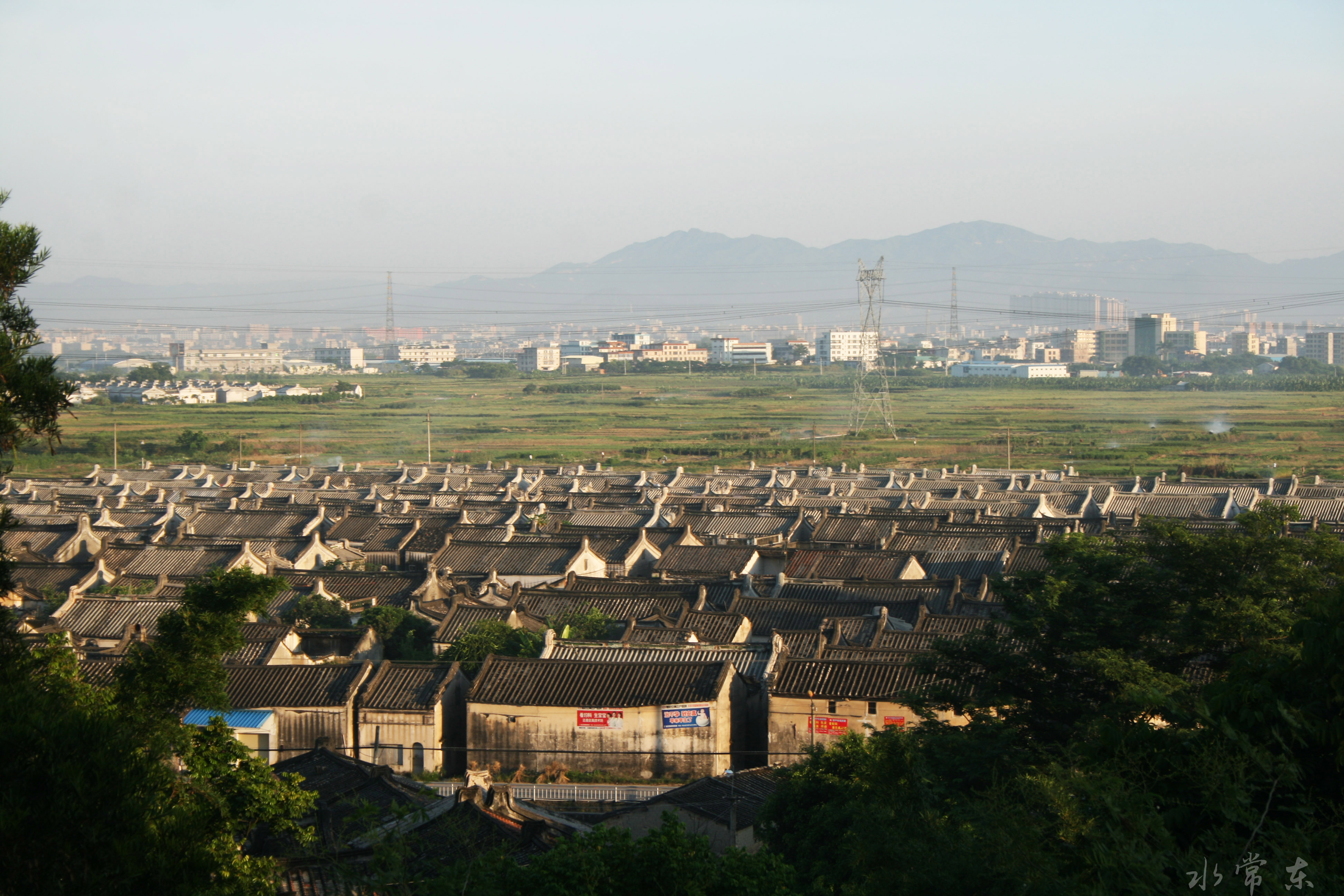 燎原镇 全网资源