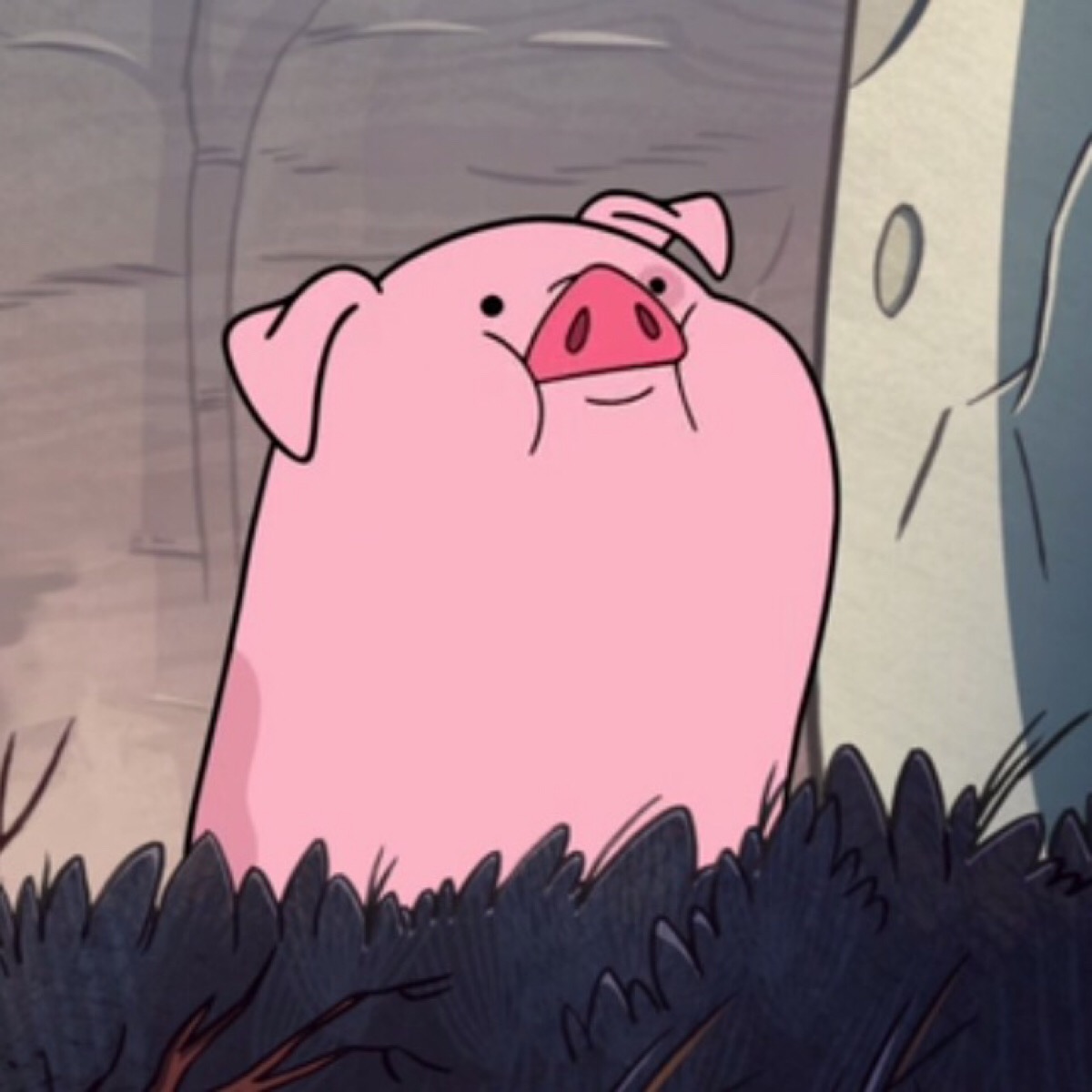 waddles