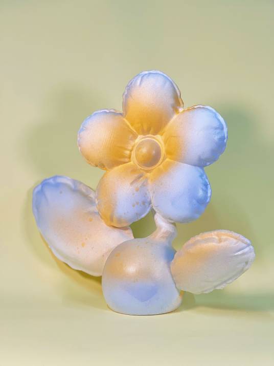 Project Flower_百度百科