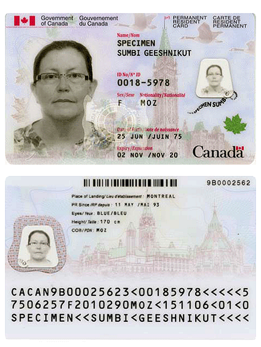 ʲôǷҶ_ҶǺɫ_ҶҶ