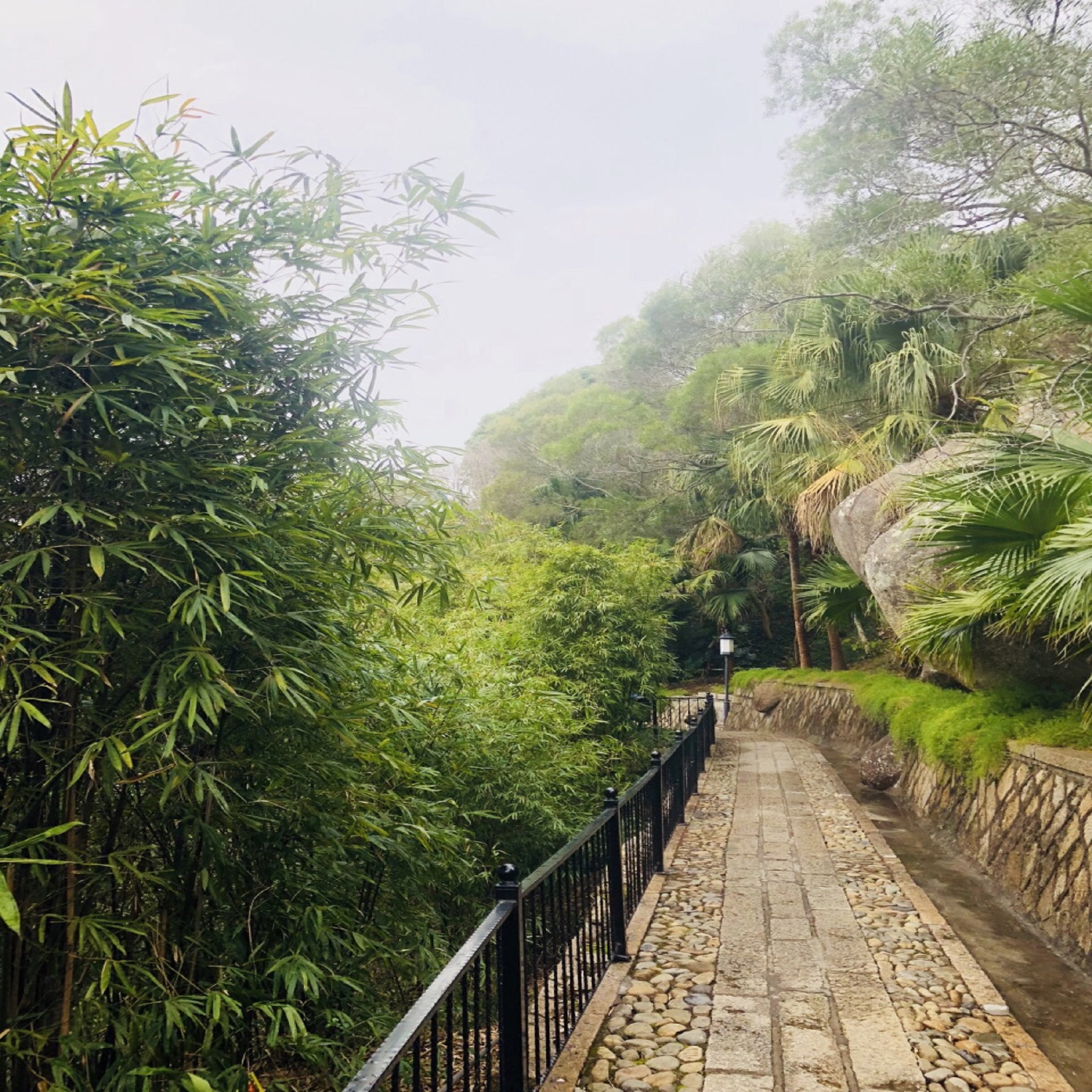 鸿山公园