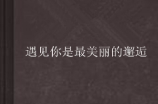 遇见你是最美丽的邂逅