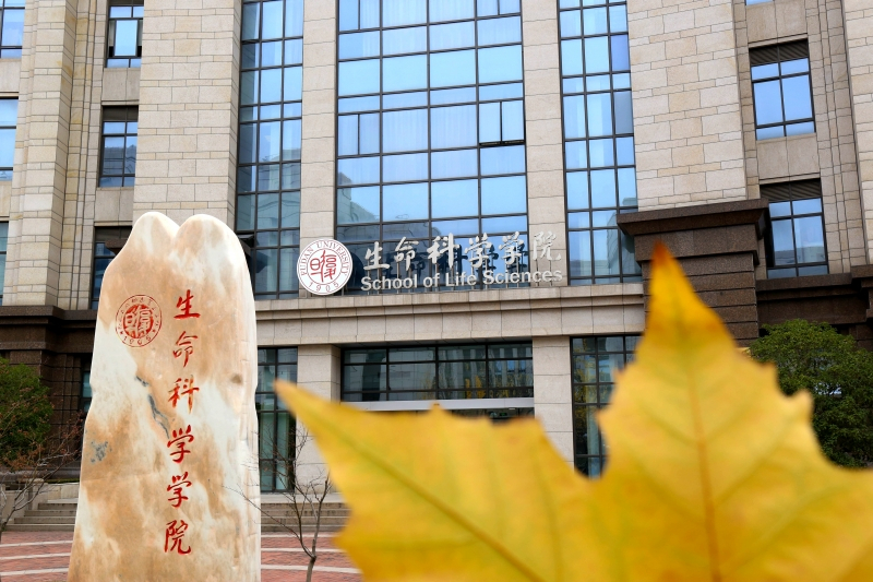 复旦大学生命科学学院