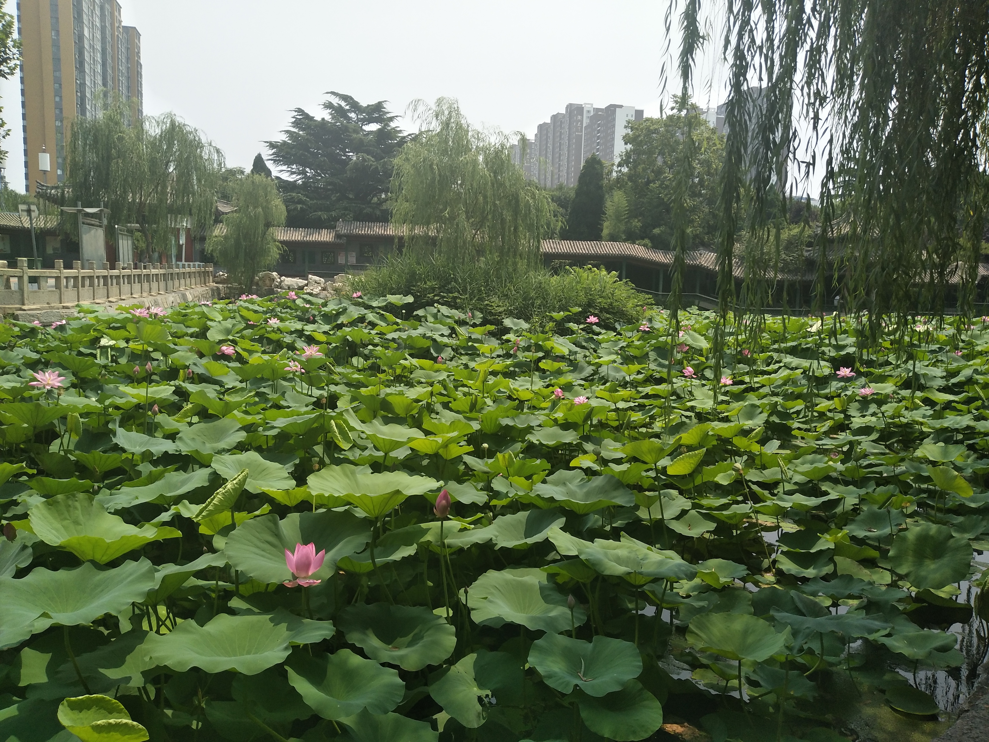 安阳市人民公园