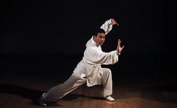 程派八卦掌